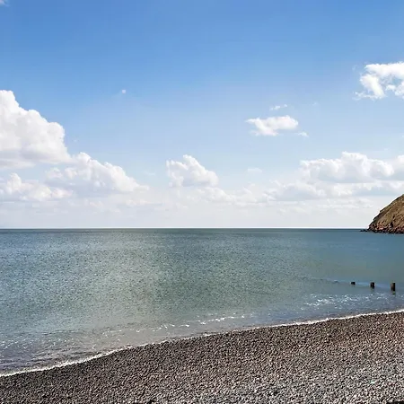 The Knees Tatil Evi *