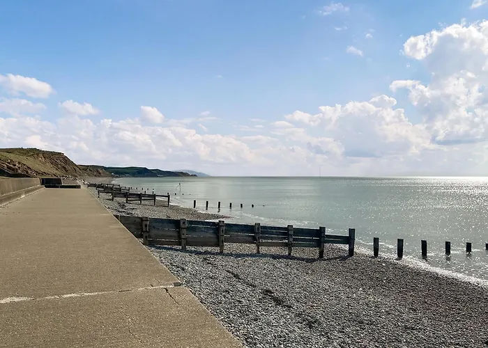 The Knees * سانت بييز