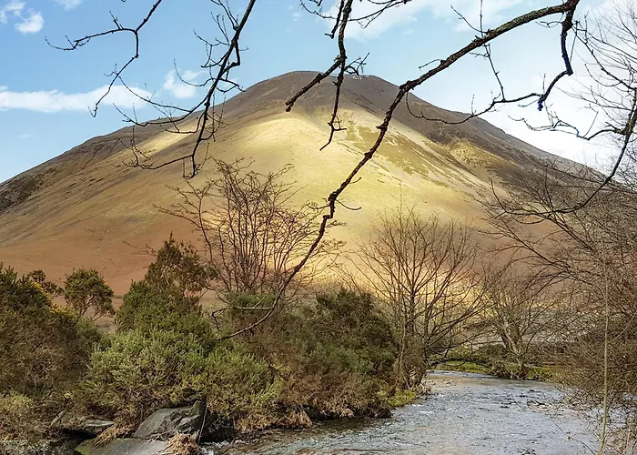 The Knees * سانت بييز