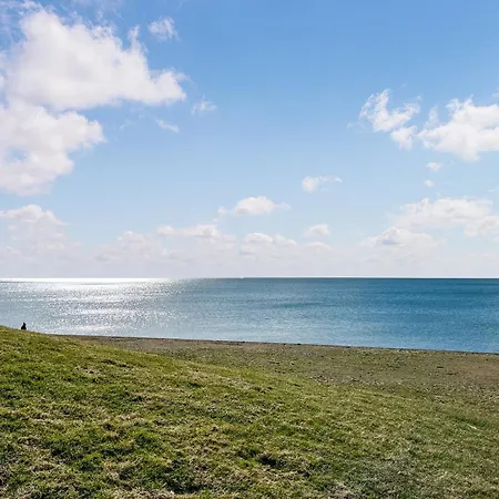 The Knees * Сент-Бис